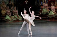 新国立劇場バレエ団「ラ・バヤデール」第2幕より。（撮影：瀬戸秀美）