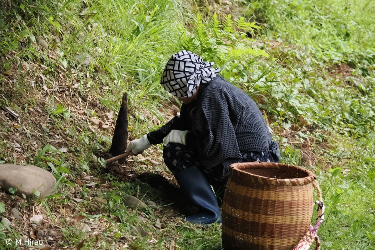 「かちかち山の台所」より。（Photo by M.Hirao）