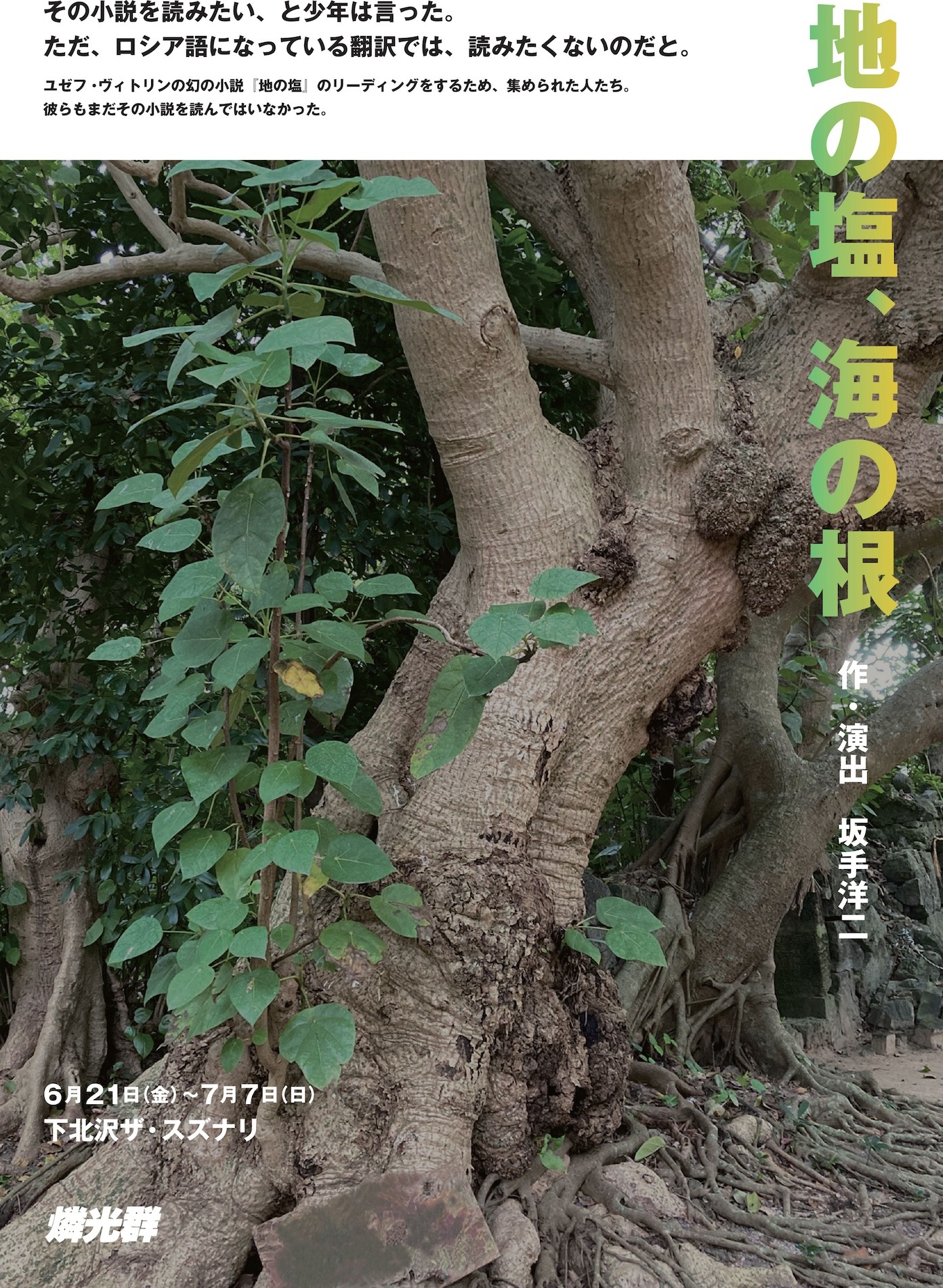 燐光群「地の塩、海の根」チラシ表