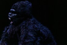 劇団あはひ新作公演 / eyes plus「ピテカントロプス・エレクトス ーあるいは私たちはどこから来たのか、私たちはどこへ行くのか？」より。（撮影：前澤秀登）