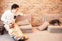 自由気ままに暴れるブタさんに、米吉も思わずツッコミ。