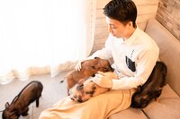 米吉の元に集うブタさんたち。