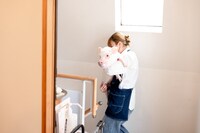 1歳のブタさん、登場。