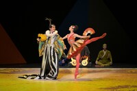 森山開次「新版・NINJA」より。（撮影：鹿摩隆司）