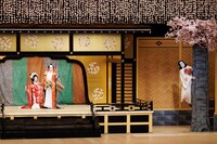 令和6年7月歌舞伎鑑賞教室「義経千本桜」Bプロより。（提供：国立劇場、撮影：田口真佐美）