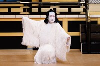 令和6年7月歌舞伎鑑賞教室「義経千本桜」Bプロより。（提供：国立劇場、撮影：田口真佐美）