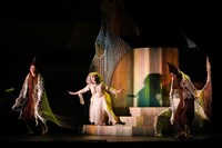 シアター・デビュー・プログラム「木のこと The TREE」より。(c)飯田耕治