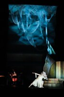 シアター・デビュー・プログラム「木のこと The TREE」より。(c)飯田耕治