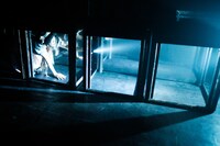 PSYCHOSIS File:006 群論序説「Alice In Wonderland -不思議の國のアリス－」より。（撮影：イマイトシヒロ）