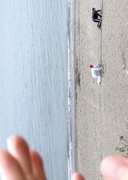 「KYOTO EXPERIMENT 京都国際舞台芸術祭 2024」ビジュアル