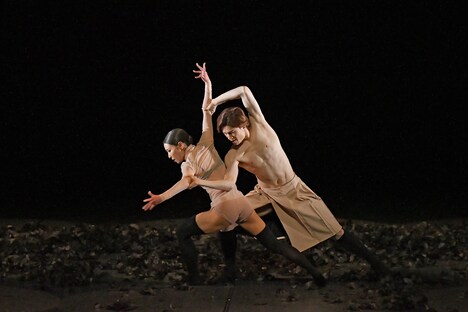 ｢Malasangre（マラサングレ）｣より。（撮影：田中聡 / テス大阪）