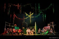 青山メインランドファンタジースペシャル ブロードウェイミュージカル「ピーター・パン」より。（撮影：宮川舞子）