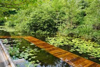 兵庫・新池（トレイルエリア）に展示されている川俣正の作品《六甲の浮橋とテラス》に、新設された沈下橋。