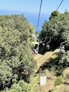 よく見ると、傘の持ち方も岩藤っぽい?