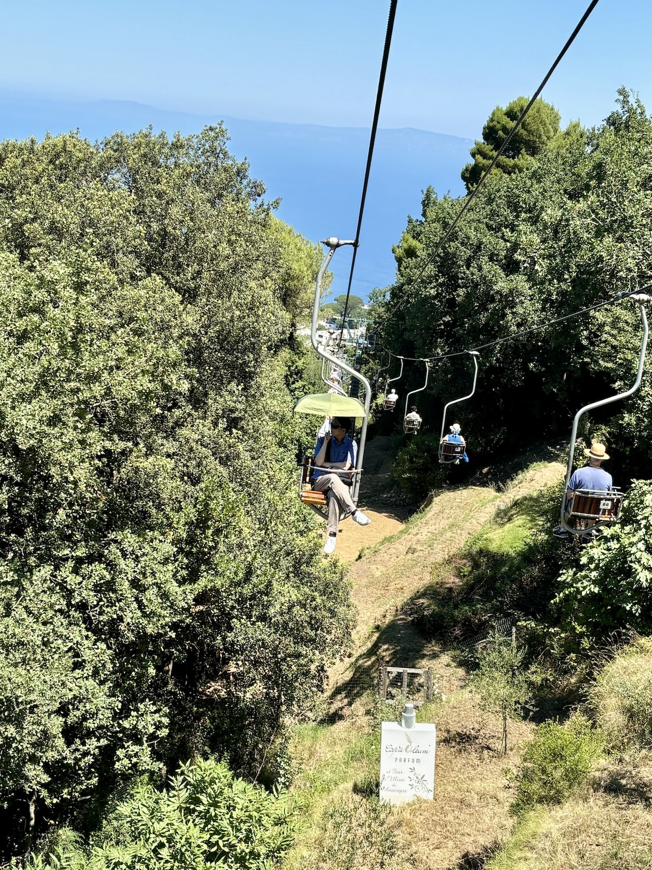 よく見ると、傘の持ち方も岩藤っぽい?