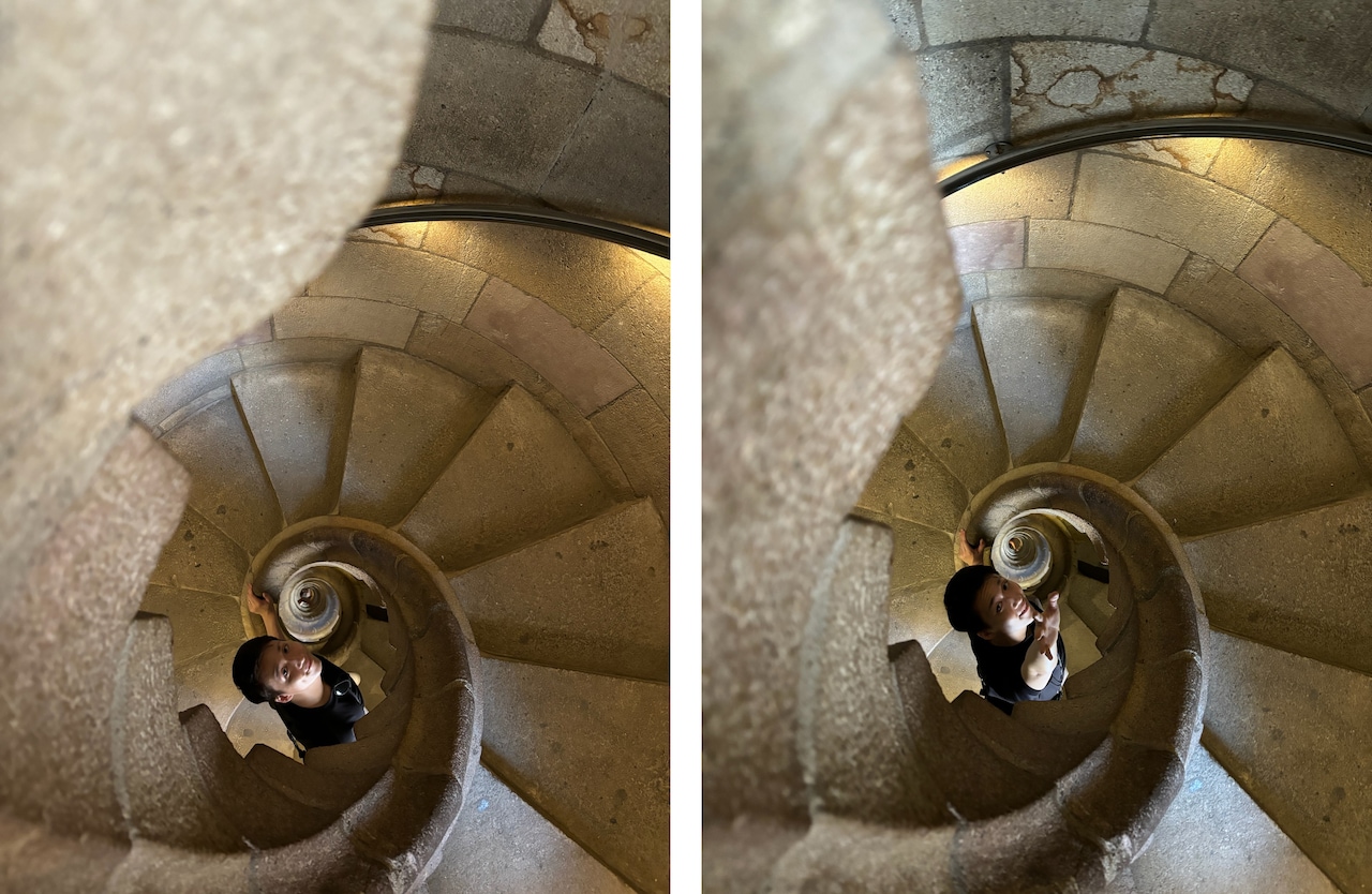 気持ちはカタツムリ!恐怖をこらえて撮影してくれた嫁吉に、手を伸ばす米吉。