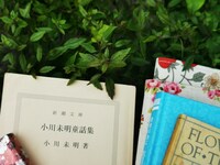 青☆組「青色文庫 -其五、夜長月の童話集-」ビジュアル