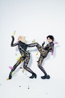 アオイツキ（Photo by Isobe Akiko）