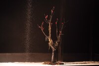 上演まで、客席では天井から落ちる砂を眺める。劇団公演「イキウメ『奇ッ怪 小泉八雲から聞いた話』」より。（撮影：田中亜紀）