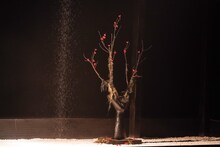 上演まで、客席では天井から落ちる砂を眺める。劇団公演「イキウメ『奇ッ怪 小泉八雲から聞いた話』」より。（撮影：田中亜紀）