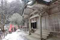 霊場、玉置神社。道中不安になるほどの山奥、それもまたいい味付け。