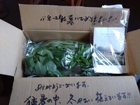 基本近所のスーパーと八百屋ですが、月一で農家直送便を頼んでます。