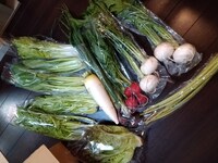 お任せの直送便だと普段買わないものや大手に流通しない野菜との出会いもある。