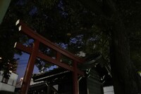 「謎音-水底から鳴る鐘-」より。（撮影：奥村健介）