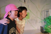 弾けて混ざりメビウスを描く、ウンゲツィーファ「8hのメビウス」開幕