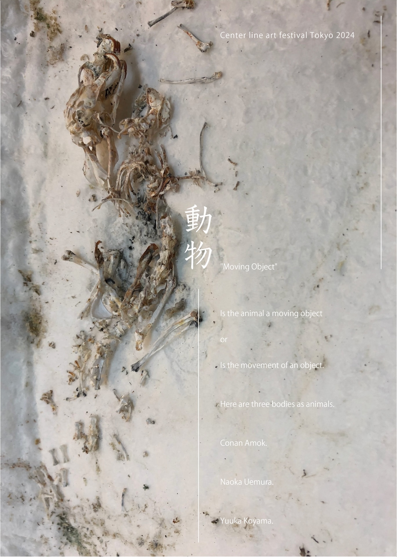 「動物 / Moving Object」チラシ表
