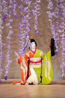 「明治座 十一月花形歌舞伎」昼の部「藤娘」より。(c)松竹
