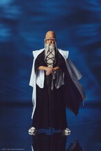 平川和宏扮する山本元柳斎重國。