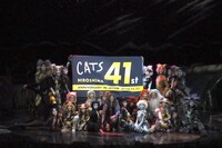 劇団四季 ミュージカル「キャッツ」日本上演41周年特別カーテンコールの様子。