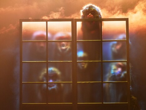 日英国際共同制作 KAAT × Vanishing Point「品川猿の告白 Confessions of a Shinagawa Monkey」より。（撮影：細野晋司）