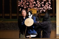 「令和6年12月文楽公演」第二部より、「一谷嫩軍記」の「熊谷桜の段」。（提供：国立劇場、撮影：田口真佐美）