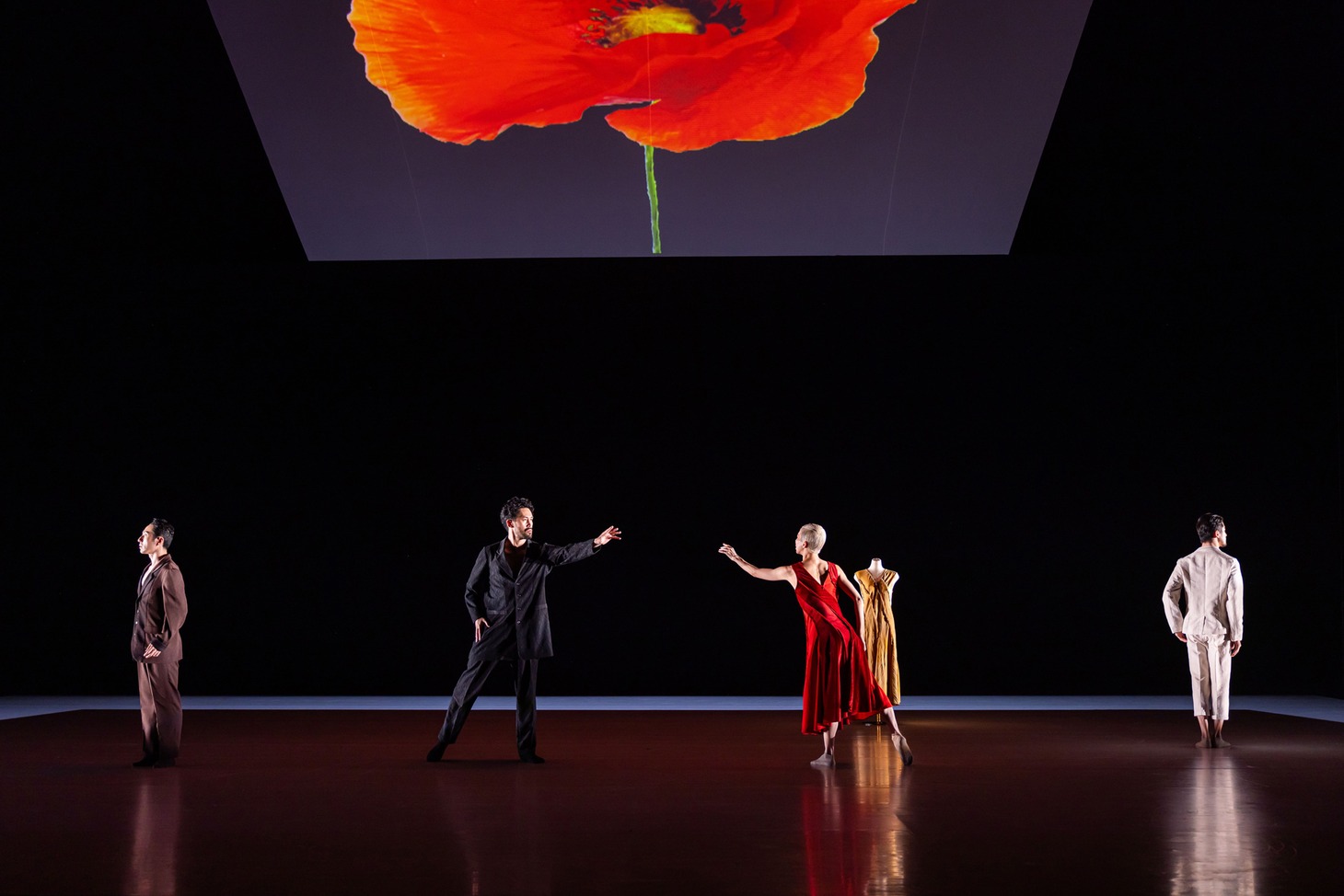 Noism0「Suspended Garden－宙吊りの庭」より。（Photo by Joseph Marcinsky）