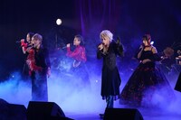 TRUMP series 15th Anniversary FINAL「繭期極夜会」第一夜より。