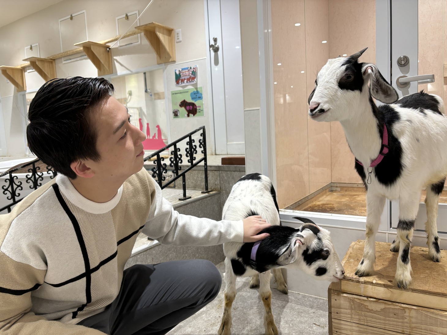 ロミくんとジュリちゃんに丁寧にあいさつをする米吉。
