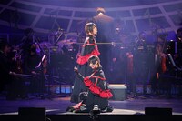 「舞台『魔法使いの約束』オーケストラ音楽祭～series collection～」より。