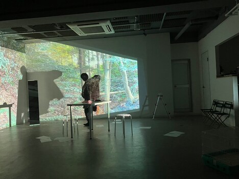 ほろびて「『森、きょう、兎小屋 -in the forest, today, rabbit hutch-』―ほろびて／いきつくのニューウィーク day1―」より。