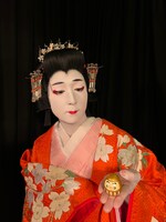 ピカピカな金色ダルマを眺める真琴姫。さて、結果は……。