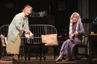 劇団民藝「八月の鯨」より。