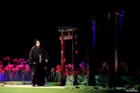 「『狐花』葉不見冥府路行」より。