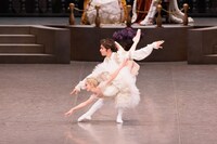 東京バレエ団「眠れる森の美女」より。(c)Shoko Matsuhashi