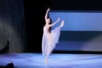 「Pas de Trois」（2024年公演）より。（Photo by Shoko Matsuhashi）