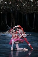 「火の鳥」より。（撮影：鹿摩隆司）