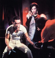 「黒蜥蜴」より。