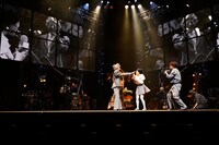 「Bug Parade」より。