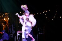 「Bug Parade」より。