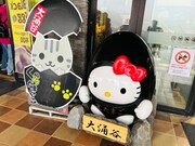 黒たまごキティと並び立たされるたまごにゃんこに、米吉も思わずエール。